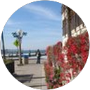 pingping Yang profile picture